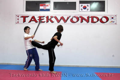 taekwondo kwon training